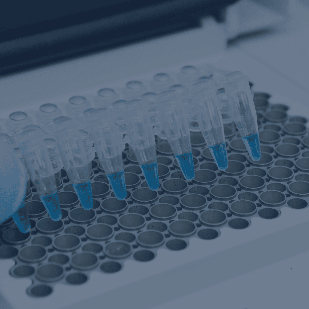 Sample Handling